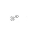 PENDIENTES FLOR SHINE SILVER